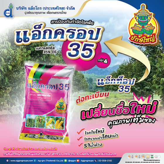 แอ็กท็อป 35